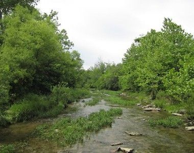 Four Mile Creek Image
