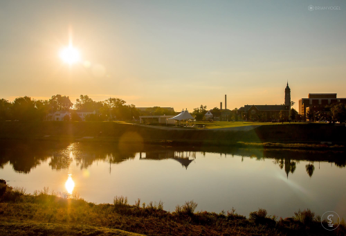 Hamiltons Parks Image